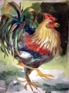 Rooster