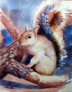 Squirrel study
